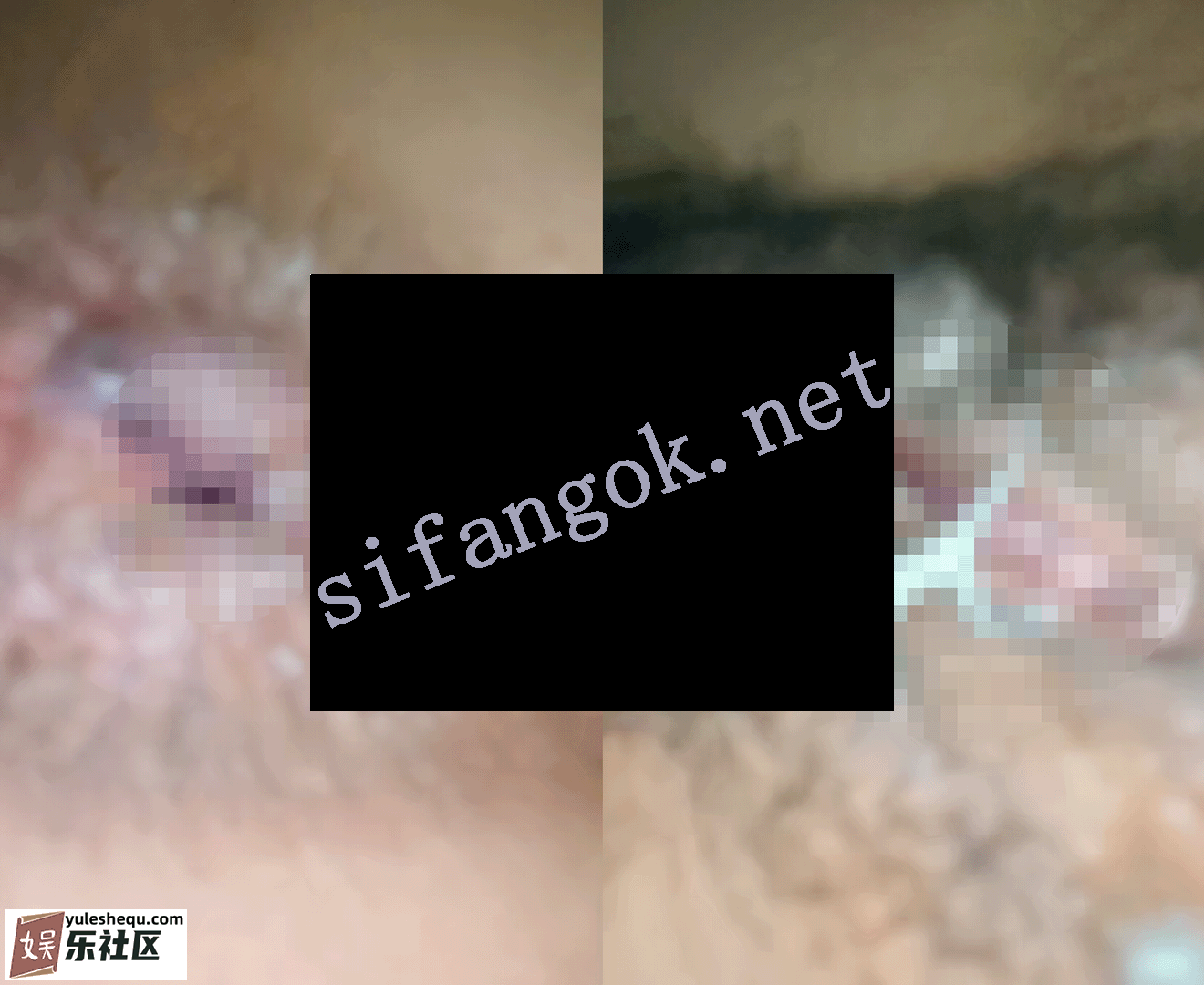 212113t3bkt83883x8onx8.png