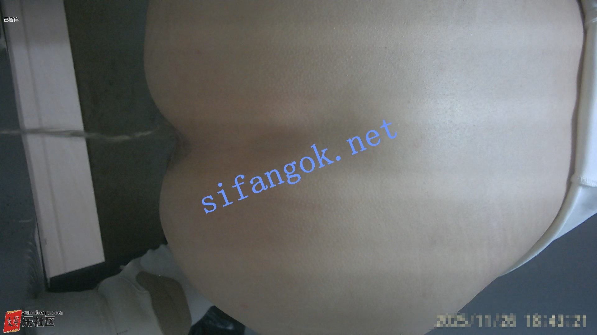 1c3a528656c545ea625cb504971bcd65b5d188cf.webp.jpg