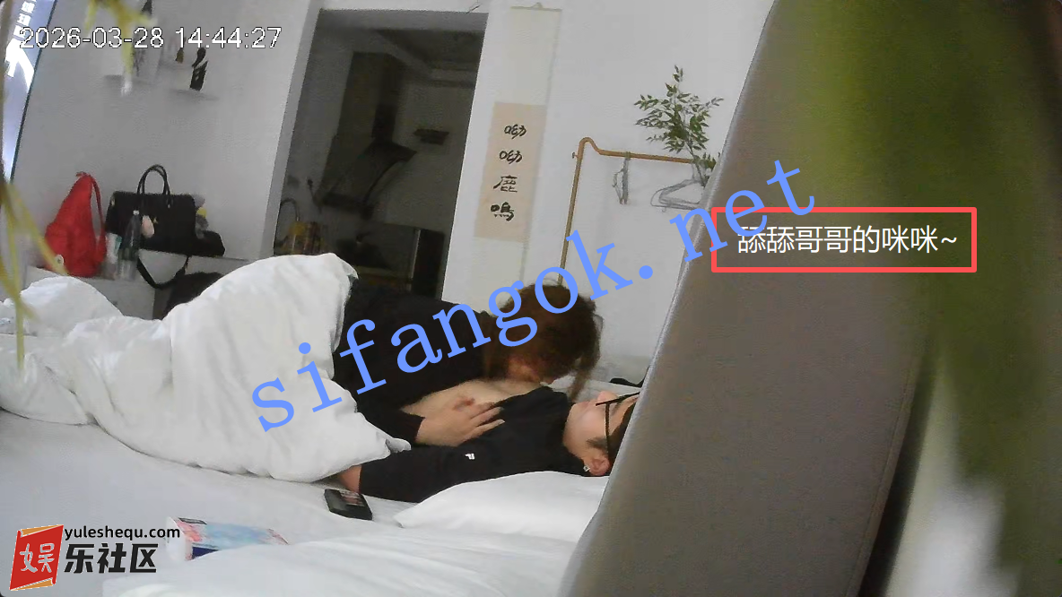 034232rq2dddjnq5ddn124.png
